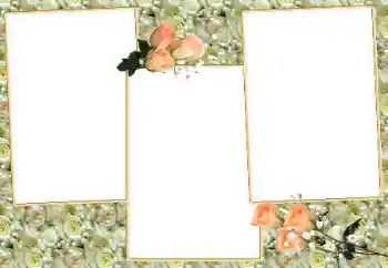 Foto-effetti della categoria Cornici da donna № 26581