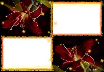 Foto-effetti della categoria Cornici da donna № 27702