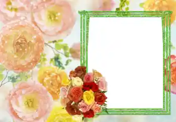 Foto-effetti della categoria Cornici da donna № 27720