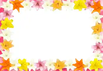 Foto-effetti della categoria Cornici da donna № 2989