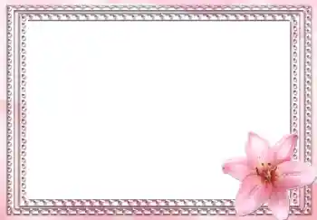 Foto-effetti della categoria Cornici da donna № 2991