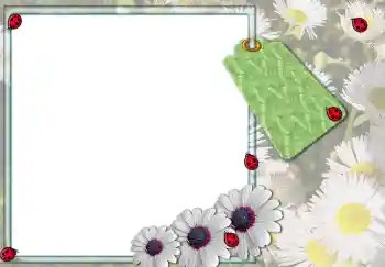 Foto-effetti della categoria Cornici da donna № 3103