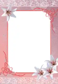 Foto-effetti della categoria Cornici da donna № 3153