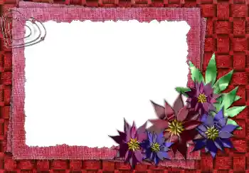 Foto-effetti della categoria Cornici da donna № 31724