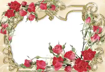 Foto-effetti della categoria Cornici da donna № 31765