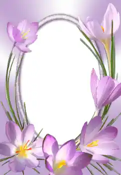 Foto-effetti della categoria Cornici da donna № 31786 Foto-effetti della categoria Cornici da donna № 31786
