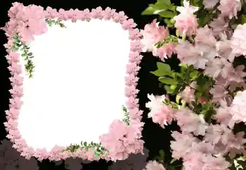 Foto-effetti della categoria Cornici da donna № 31824 Foto-effetti della categoria Cornici da donna № 31824
