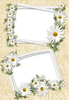 Foto-effetti della categoria Cornici da donna № 32693 Foto-effetti della categoria Cornici da donna № 32693
