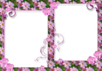 Foto-effetti della categoria Cornici da donna № 32791