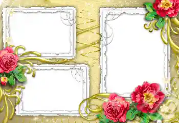 Foto-effetti della categoria Cornici da donna № 32840