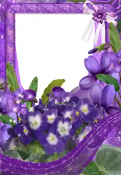 Foto-effetti della categoria Cornici da donna № 33734 Foto-effetti della categoria Cornici da donna № 33734