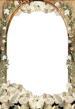 Foto-effetti della categoria Cornici da donna № 33873