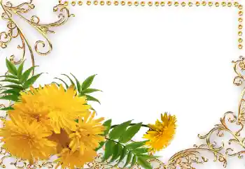 Foto-effetti della categoria Cornici da donna № 34042