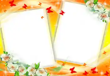 Foto-effetti della categoria Cornici da donna № 34046