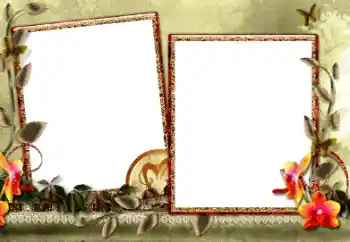 Foto-effetti della categoria Cornici da donna № 34054