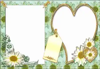 Foto-effetti della categoria Cornici da donna № 34056