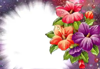 Foto-effetti della categoria Cornici da donna № 34074