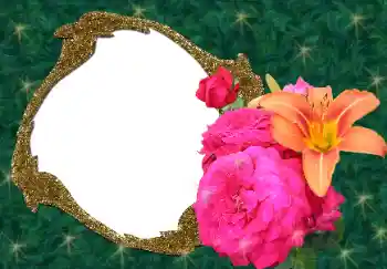 Foto-effetti della categoria Cornici da donna № 34688 Foto-effetti della categoria Cornici da donna № 34688