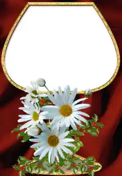 Foto-effetti della categoria Cornici da donna № 34708 Foto-effetti della categoria Cornici da donna № 34708