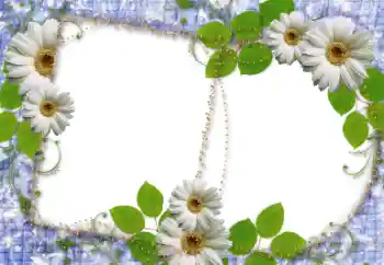 Foto-effetti della categoria Cornici da donna № 34745 Foto-effetti della categoria Cornici da donna № 34745