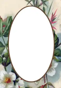 Foto-effetti della categoria Cornici da donna № 34845 Foto-effetti della categoria Cornici da donna № 34845