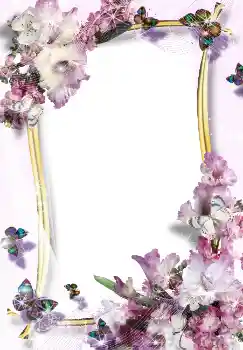 Foto-effetti della categoria Cornici da donna № 3488
