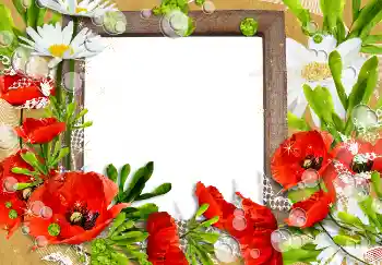 Foto-effetti della categoria Cornici da donna № 3491