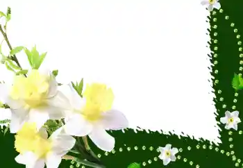 Foto-effetti della categoria Cornici da donna № 35016 Foto-effetti della categoria Cornici da donna № 35016