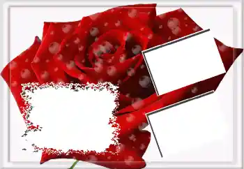 Foto-effetti della categoria Cornici da donna № 3592 Foto-effetti della categoria Cornici da donna № 3592