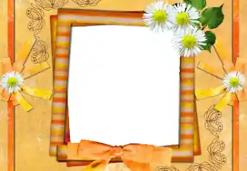 Foto-effetti della categoria Cornici da donna № 36135