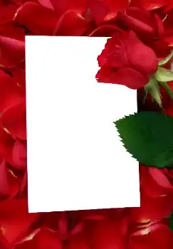 Foto-effetti della categoria Cornici da donna № 3641 Foto-effetti della categoria Cornici da donna № 3641