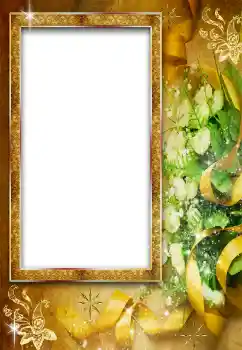 Foto-effetti della categoria Cornici da donna № 38587