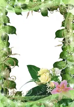 Foto-effetti della categoria Cornici da donna № 38597