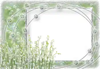 Foto-effetti della categoria Cornici da donna № 39112