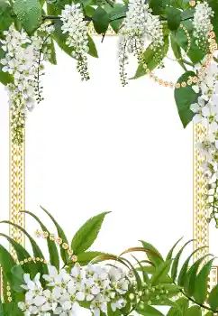 Foto-effetti della categoria Cornici da donna № 40343