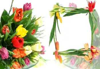 Foto-effetti della categoria Cornici da donna № 40387