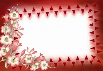 Foto-effetti della categoria Cornici da donna № 40390