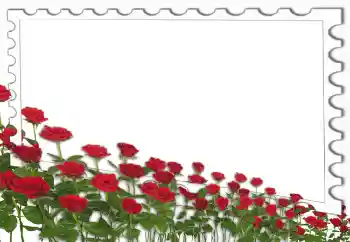Foto-effetti della categoria Cornici da donna № 4162 Foto-effetti della categoria Cornici da donna № 4162