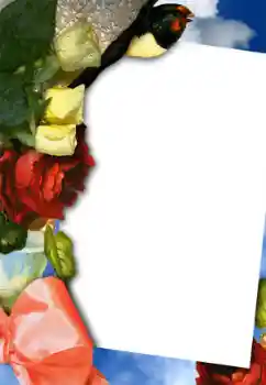 Foto-effetti della categoria Cornici da donna № 42754