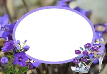 Foto-effetti della categoria Cornici da donna № 43545