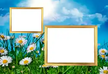 Foto-effetti della categoria Cornici da donna № 43572