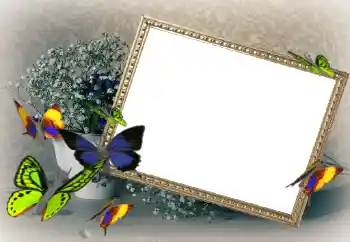 Foto-effetti della categoria Cornici da donna № 43592