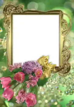 Foto-effetti della categoria Cornici da donna № 43605