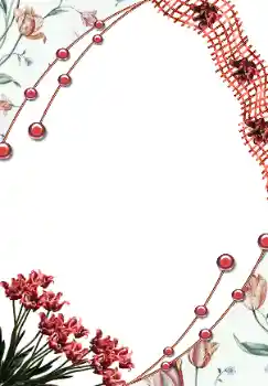 Foto-effetti della categoria Cornici da donna № 43638