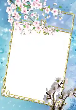 Foto-effetti della categoria Cornici da donna № 43639