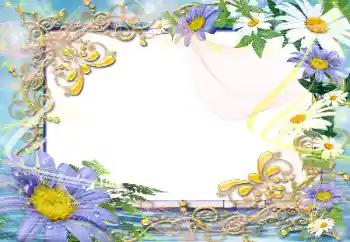 Foto-effetti della categoria Cornici da donna № 45792