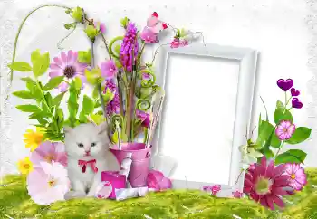 Foto-effetti della categoria Cornici da donna № 45889