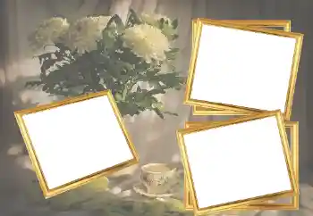 Foto-effetti della categoria Cornici da donna № 45921