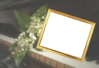 Foto-effetti della categoria Cornici da donna № 45929