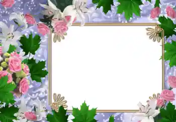 Foto-effetti della categoria Cornici da donna № 47030